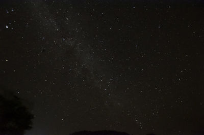 Low angle view of stars against sky at night