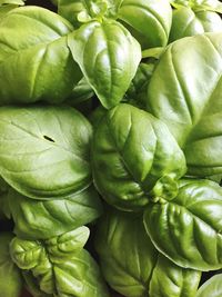 Full frame shot of vegetables