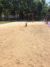 Boy playing in playground