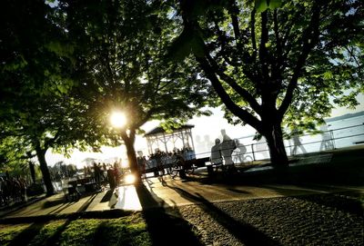 Trees by road in city against sky