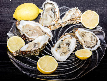 High angle view of oysters and lemons in plate