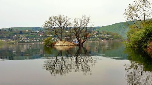 Reflection of trees in lake