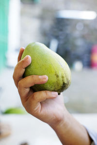 Close-up of hand holding fruit