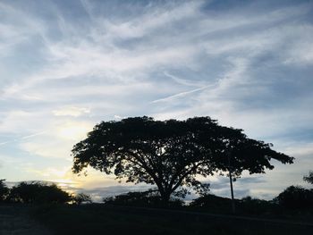 Silhouette tree on field against sky