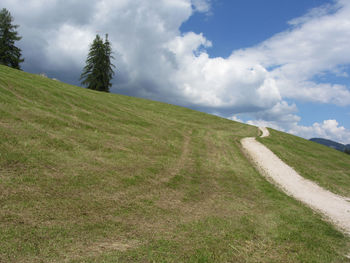 Footpath leading through a green alpine pasture at summer