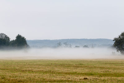 Scenic view of field against clear sky