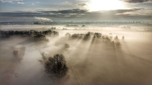 Scenic view of trees on landscape against sky