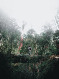 Man standing by trees in forest against sky