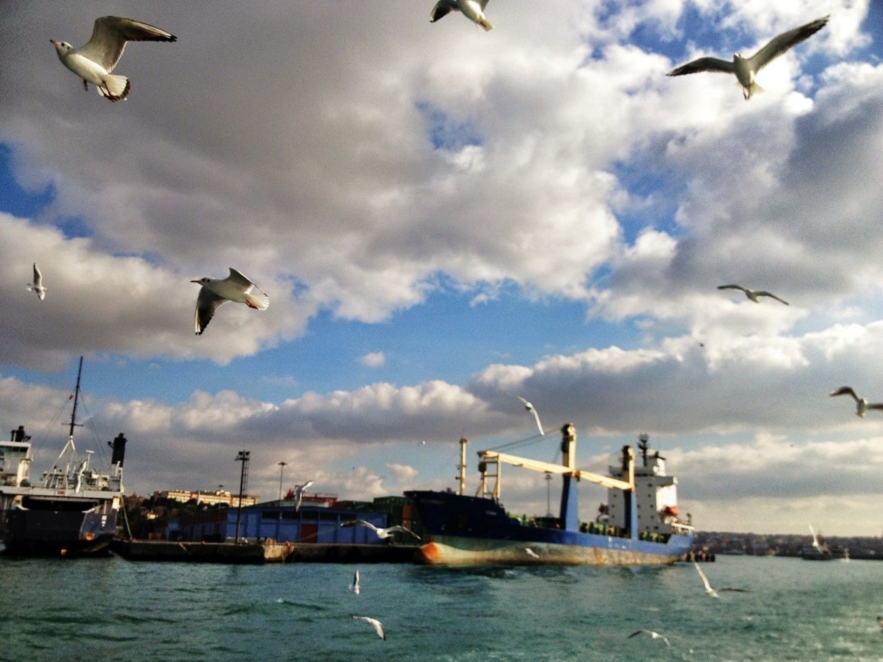 flying, bird, animal themes, animals in the wild, wildlife, seagull, sea, water, transportation, sky, mid-air, spread wings, cloud - sky, mode of transport, nautical vessel, waterfront, medium group of animals, flock of birds, nature