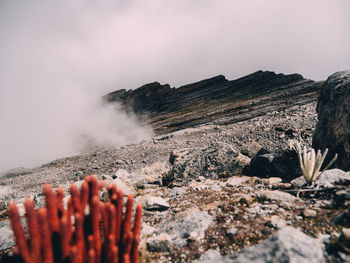 Close-up of smoke stack on land against sky