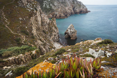 Scenic view of rocks in sea