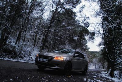 Car on road amidst trees in forest during winter