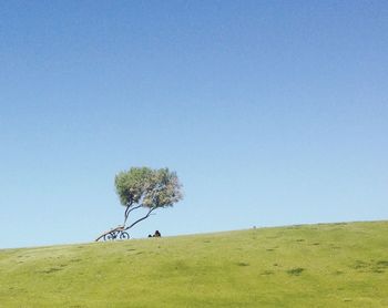 Scenic view of grassy field against blue sky