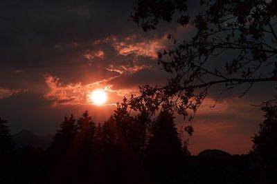 Low angle view of silhouette trees against sky during sunset