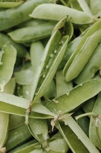 Full frame shot of green chili peppers