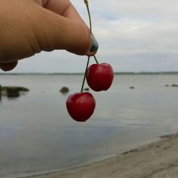 Close-up of hand holding strawberry against sky