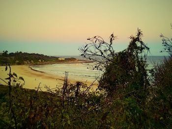 Scenic view of sea at sunset