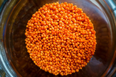 High angle view of orange in container