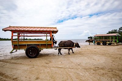 View of horse cart