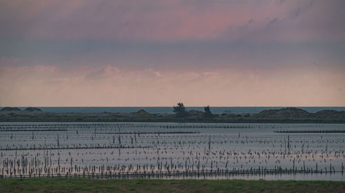 horizon