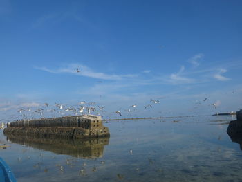 Birds flying over lake against sky