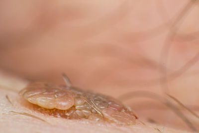 Macro shot of water drop