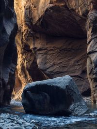 Bold rock in zion canyon