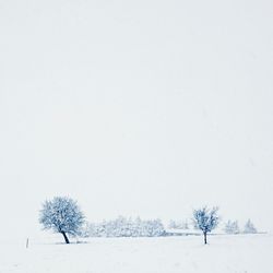 Scenic view of snow covered landscape