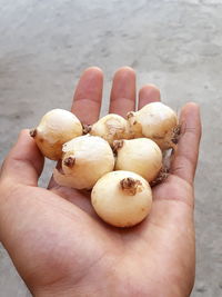 Close-up of hand holding eggs