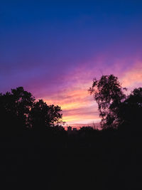 Silhouette trees against sky during sunset