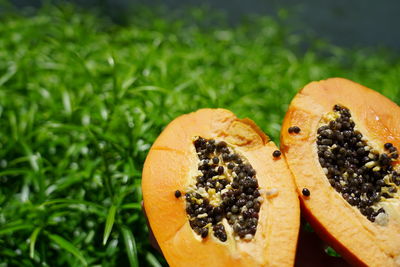 Close-up of orange slice in grass