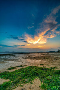 Scenic view of beach against sky during sunset