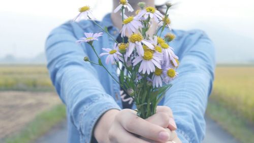 Cropped hand holding plant