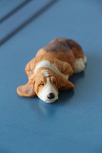 High angle view of dog resting on table