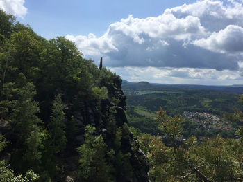 Scenic view of forest against sky