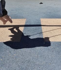 Shadow of people on road