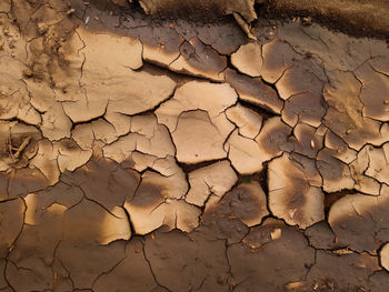 Full frame shot of cracked land