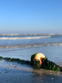 Close-up of sea waves on beach against clear sky