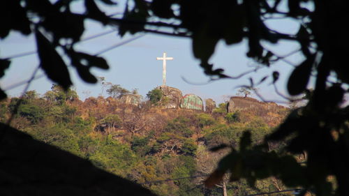 Trees and tower against sky