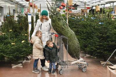 Mother and children choose a christmas tree in the market.