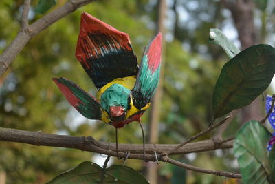 Close-up of parrot perching on tree
