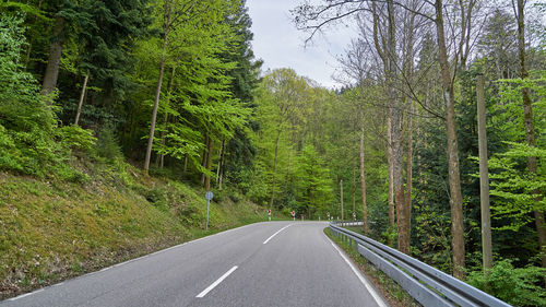 Asphalt road with turns through the schwarzwald forest