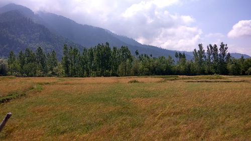 Scenic view of landscape against sky