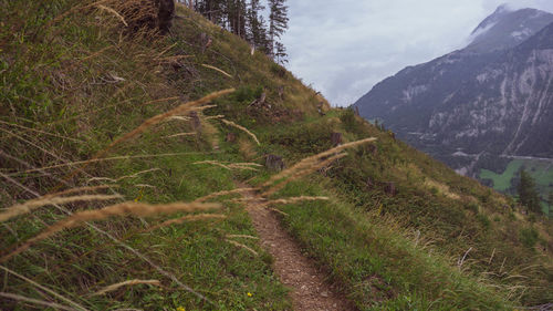 Scenic view of field against mountain range