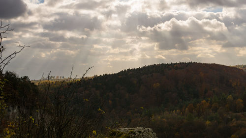 Plants growing on landscape against sky