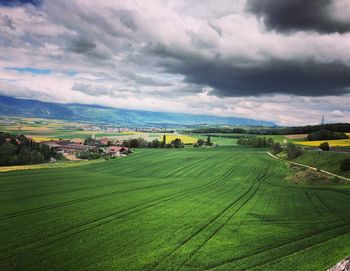 Scenic view of agricultural field against sky