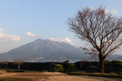 Sun set at sakurajima volcano