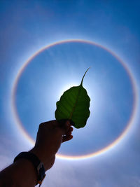 Rare halo around the around the sun spotted