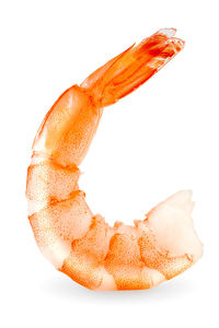 Close-up of orange cake against white background