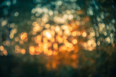 Defocused image of tree against sky during sunset